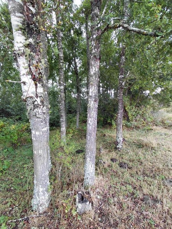 Agro-Parcela en Tegualda