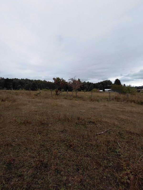 Agro-Parcela en Tegualda