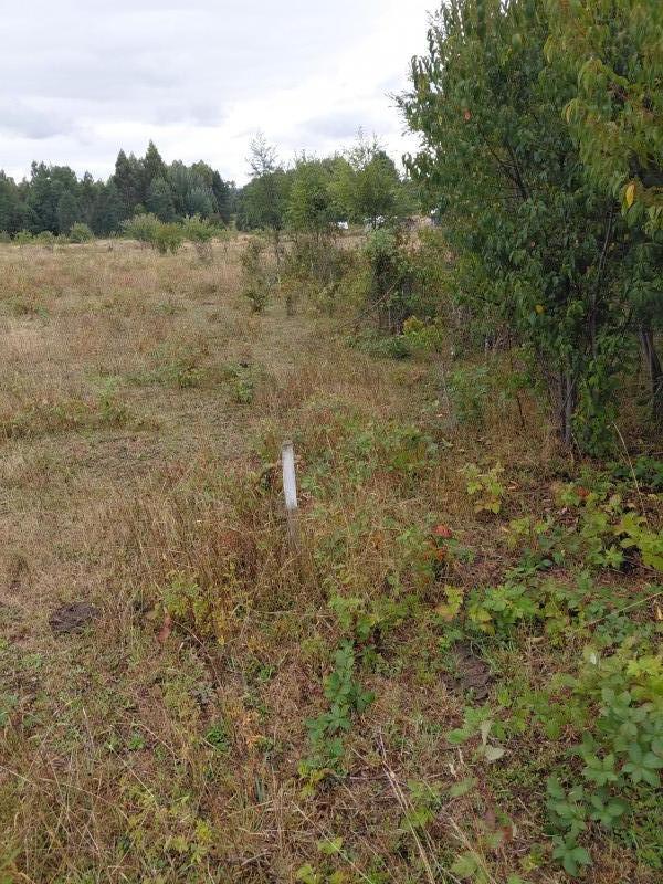 Agro-Parcela en Tegualda