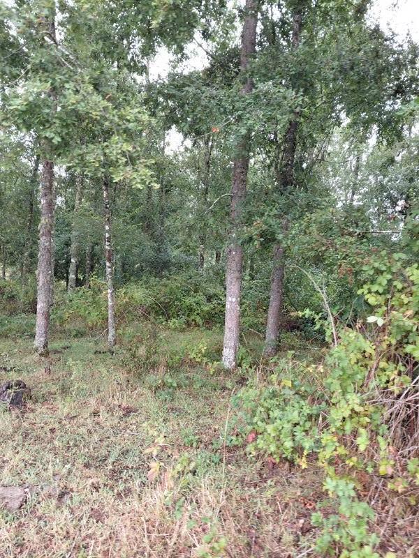 Agro-Parcela en Tegualda