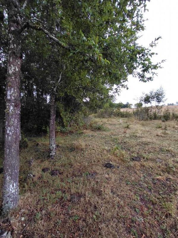 Agro-Parcela en Tegualda