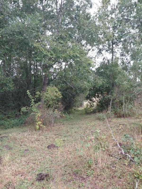 Agro-Parcela en Tegualda