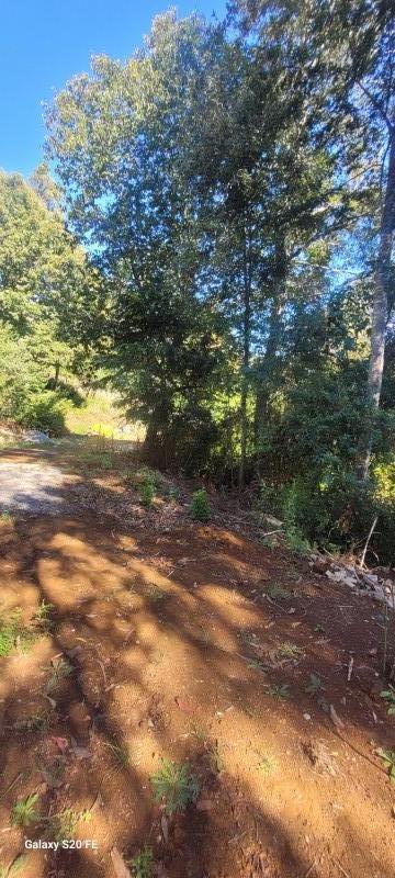 Parcela Con Casa y Cabaña