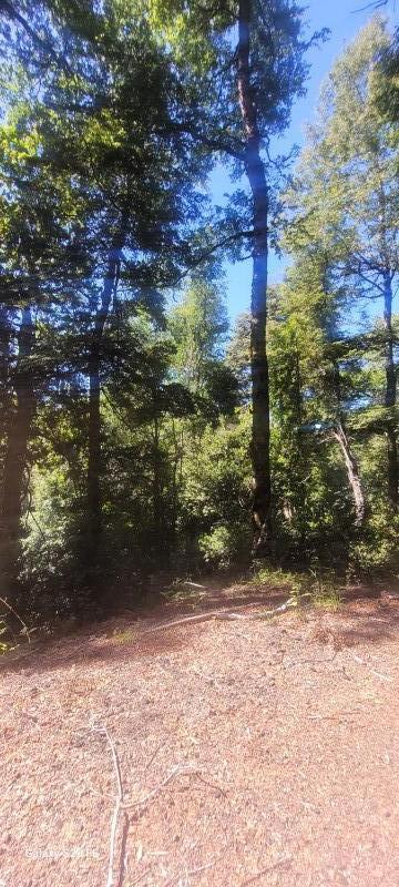 Se Vende Parcela para Proyecto de Ecoturismo