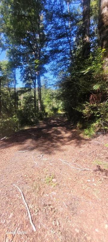 Se Vende Parcela para Proyecto de Ecoturismo