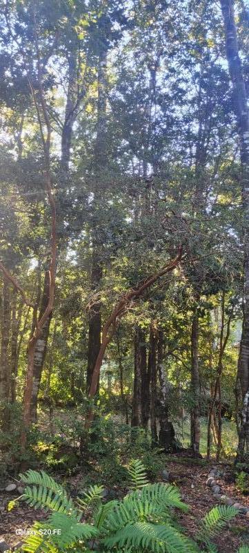 Hermosa Parcela Con Casa y 2 Cabañas