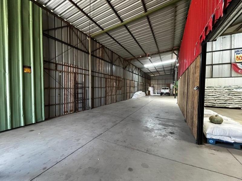Galpon Comercial en Arriendo, Teno