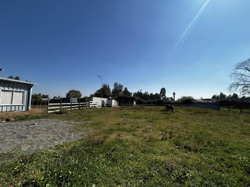 Galpon Comercial en Arriendo, Teno