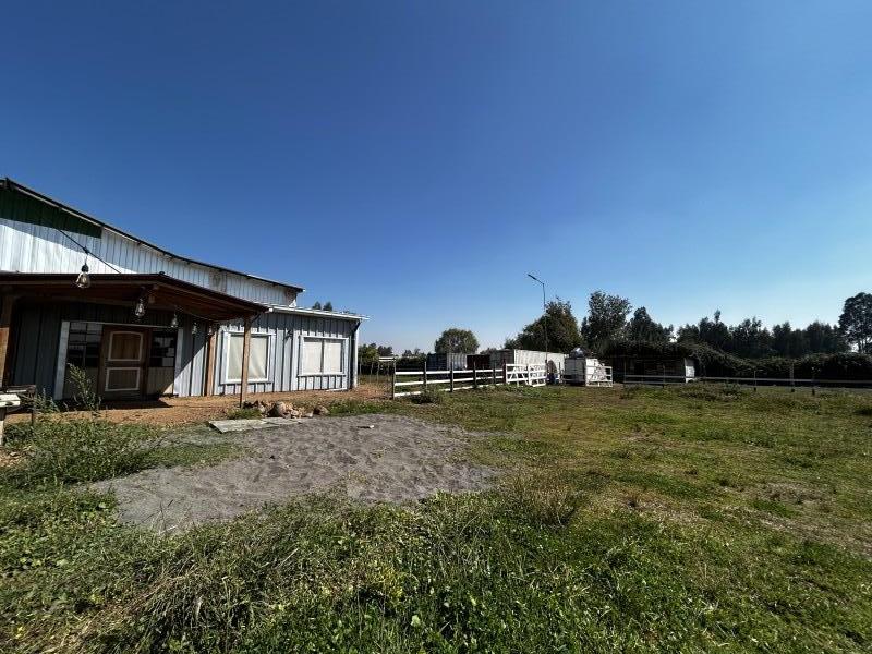 Galpon Comercial en Arriendo, Teno