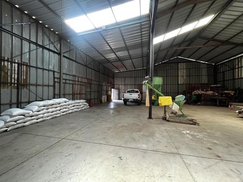 Galpon Comercial en Arriendo, Teno