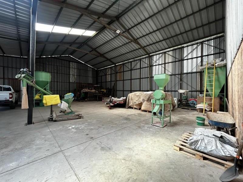 Galpon Comercial en Arriendo, Teno