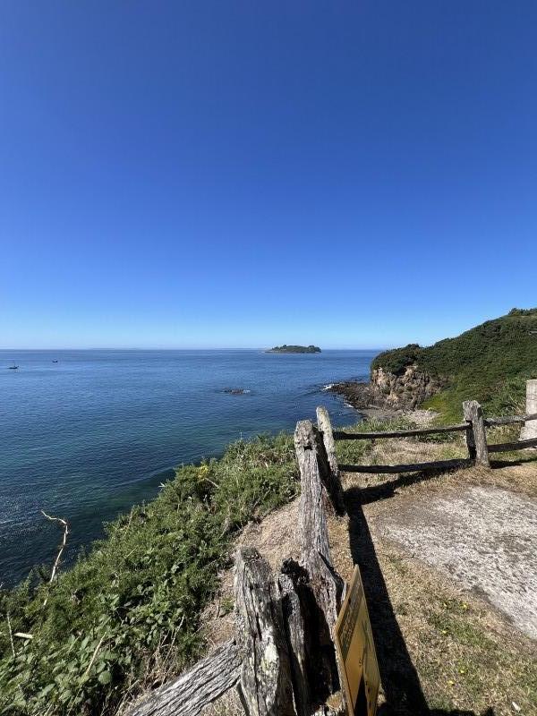 en Venta 2,3 Hectáreas Con Vista Al Mar en Chiloe!
