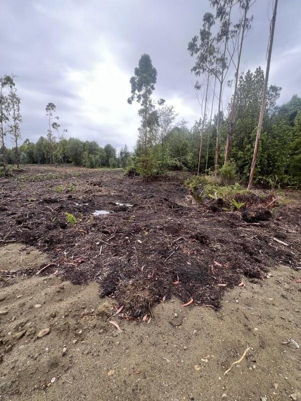 en Venta Parcelas en Ancud Chiloé!