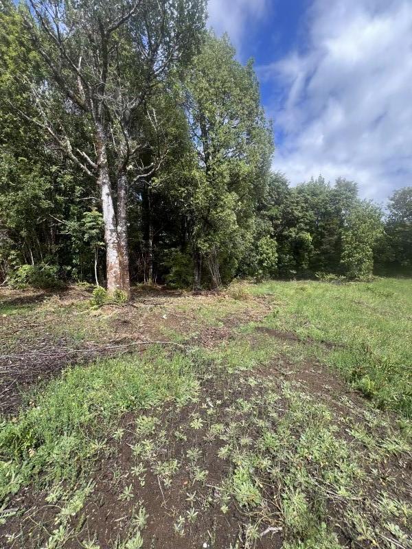 en Venta Parcelas en Ancud Chiloé!