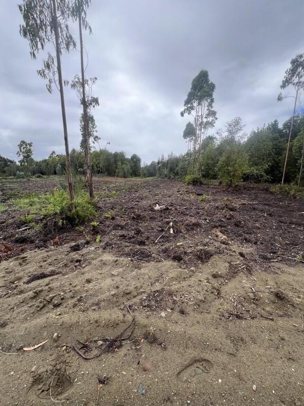 en Venta Parcelas en Ancud Chiloé!