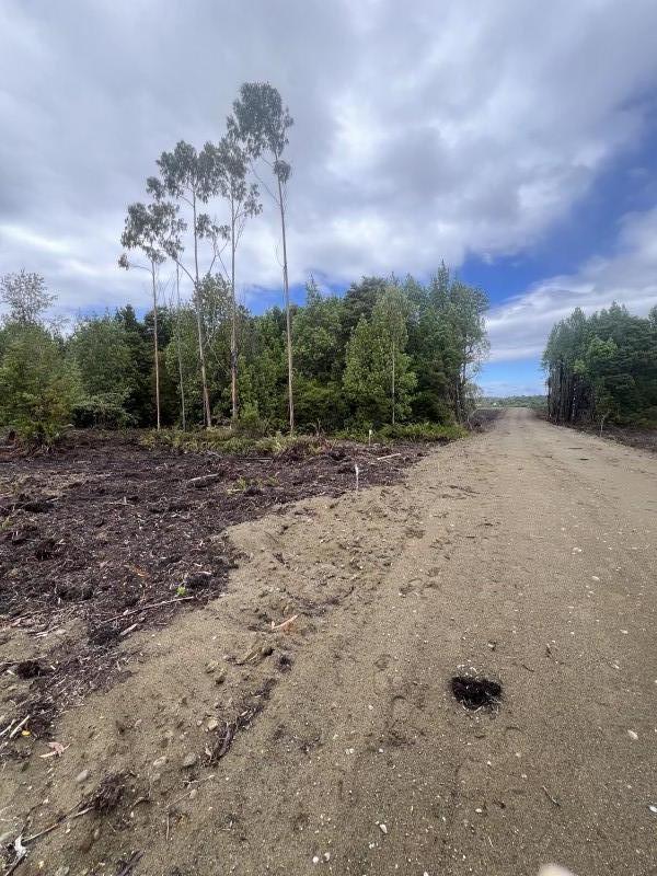 en Venta Parcelas en Ancud Chiloé!