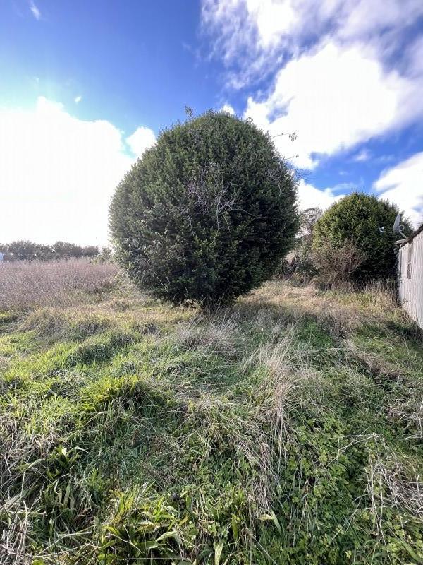 en Venta 2,3 Hectáreas Con Vista Al Mar en Chiloe!