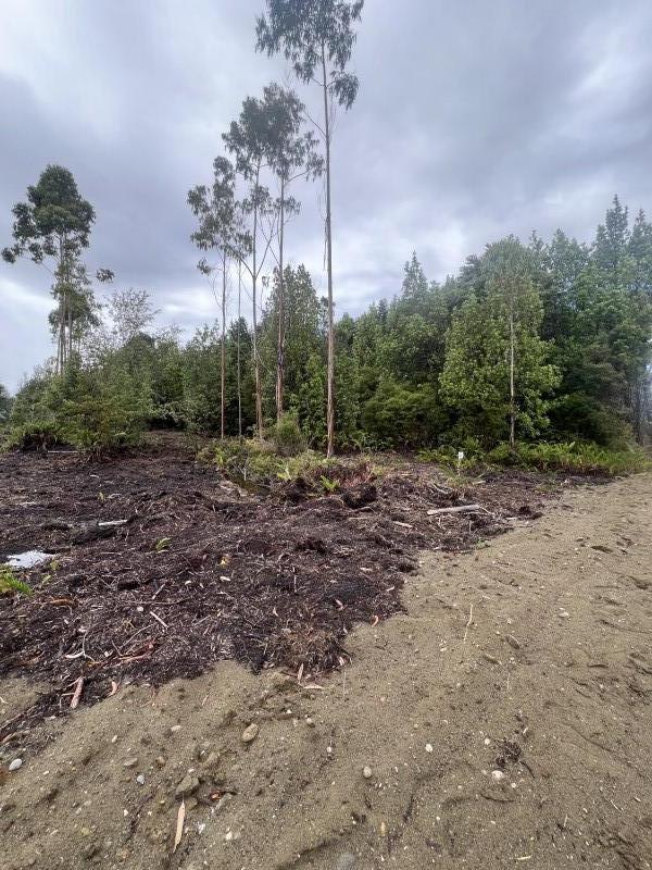 en Venta Parcelas en Ancud Chiloé!