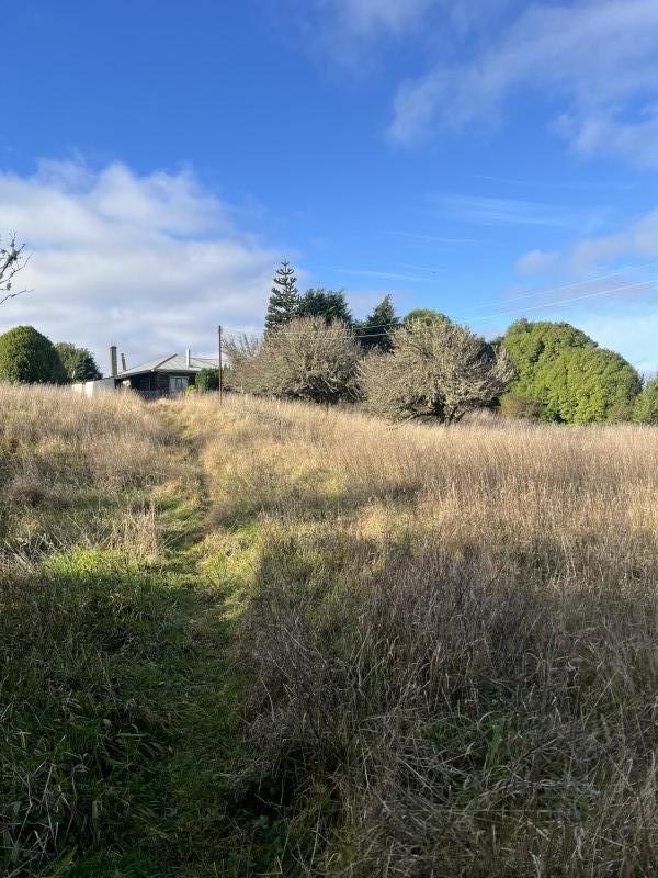 en Venta 2,3 Hectáreas Con Vista Al Mar en Chiloe!