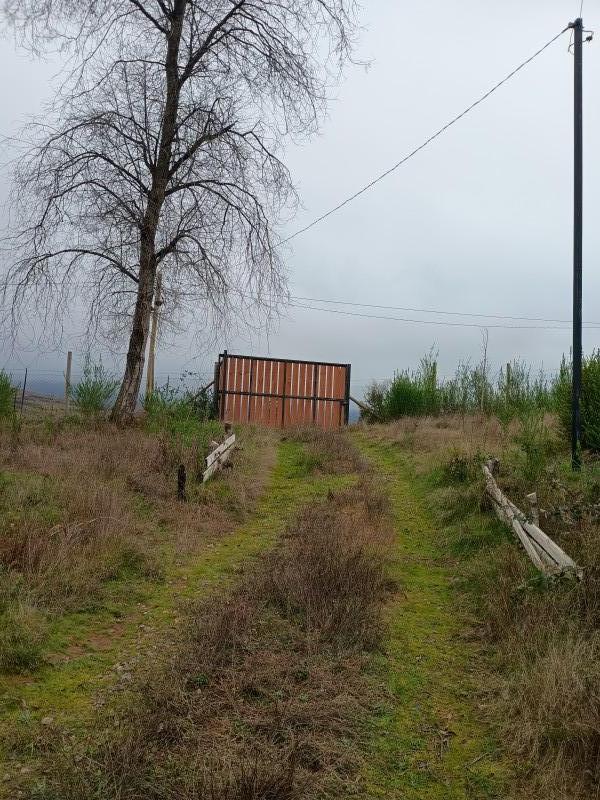 Venta de Parcela, Sector Poduco Alto, Santa Juana