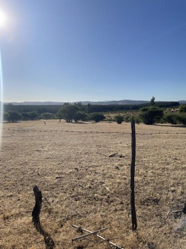 Ven A Conocer Campo de 133,6 Ha, Huerta de Maule, San Javier