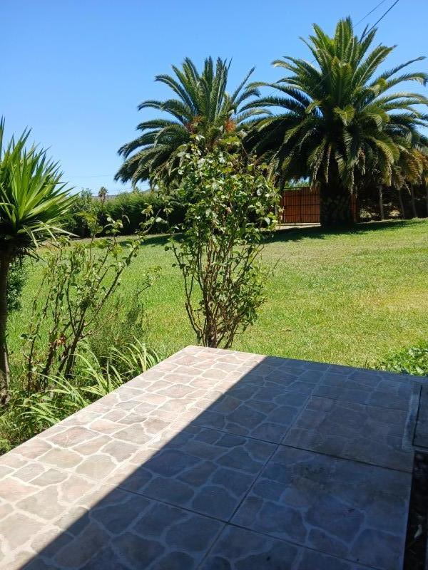Gran Cabaña Con Piscina, Terraza y Muchos Árboles y Pájaros