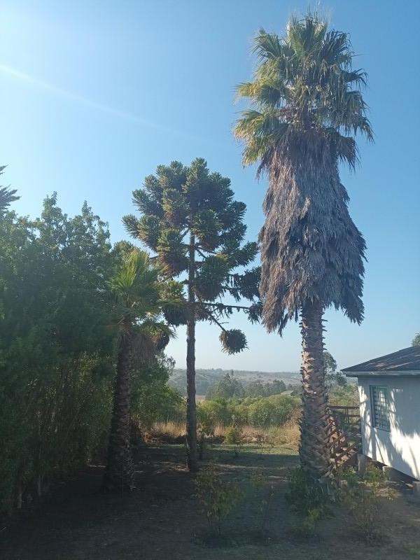 Parcela 5000 M2 Con Casa Lista para Habitar en Santo Domingo