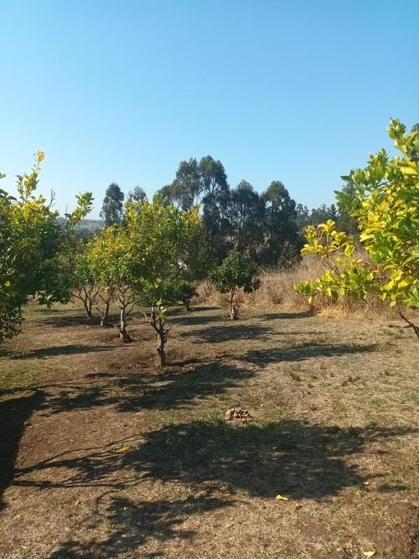 Parcela 5000 M2 Con Casa Lista para Habitar en Santo Domingo