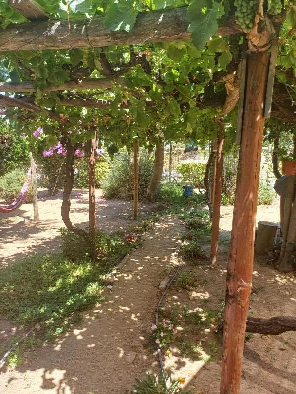 Vta. Casa Campo Colchagua