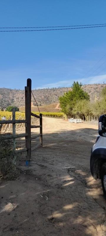 en Casablanca Fundo Productivo el Chaparro Sector Tapihue
