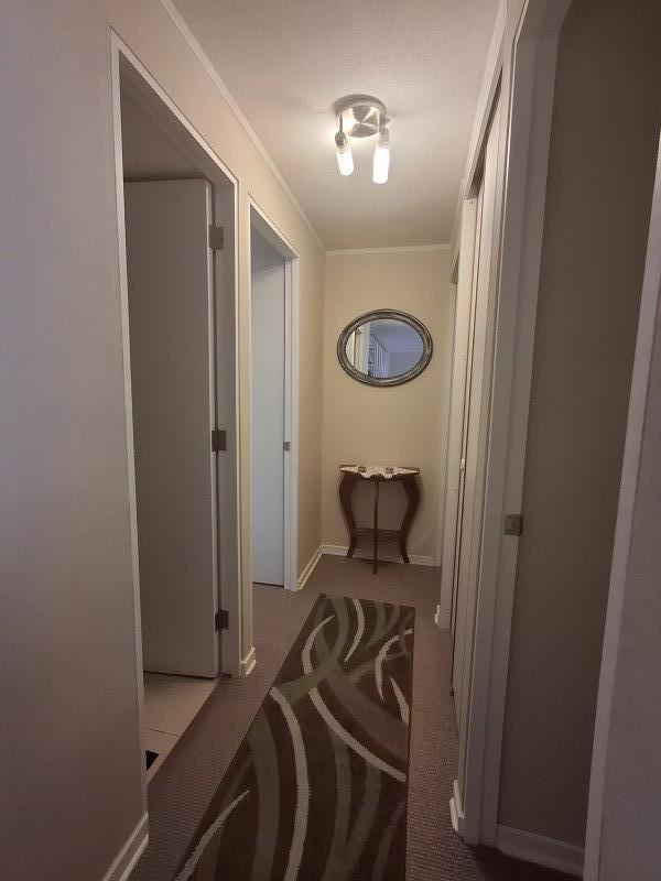 Alto las Cruces, Primer Piso, 3D 2B 1E Consulte
