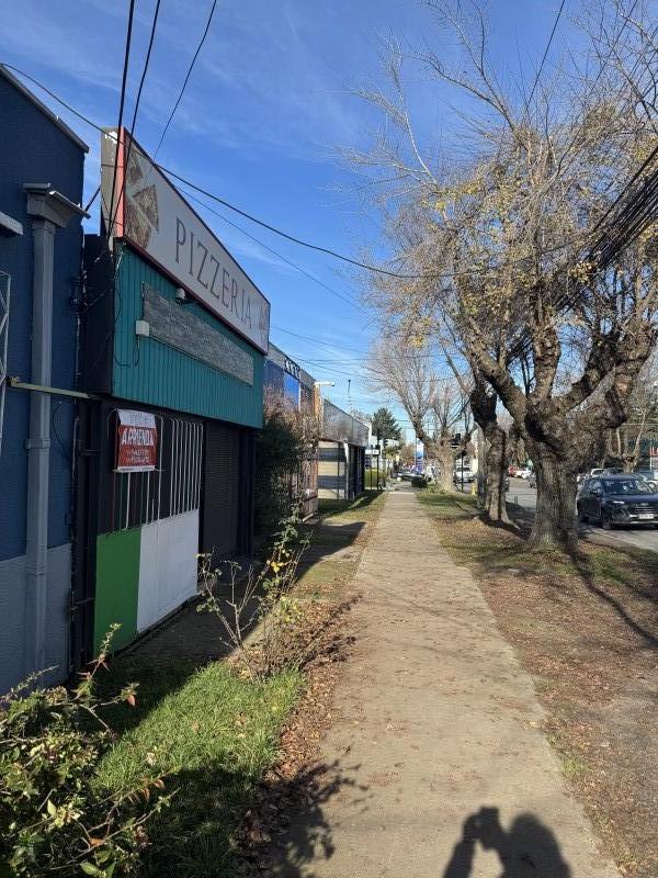 Se Arrienda Local Comercial – Avenida Ercilla, los Ángeles