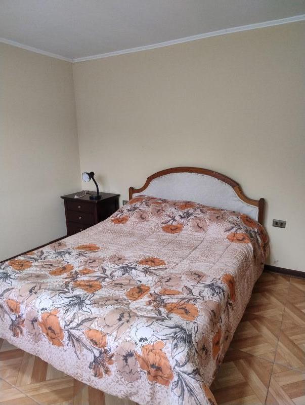 Casa en Parcela A 27Km de Villarrica Sector Pulingue