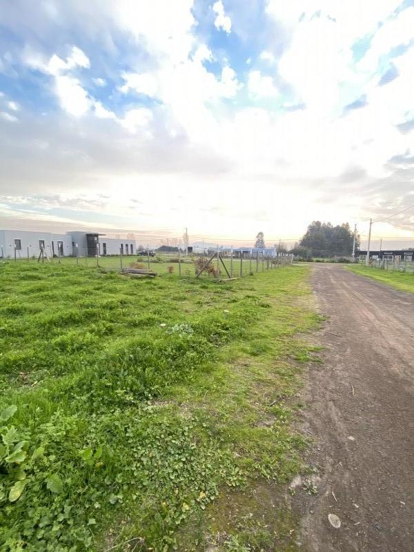 Vendemos !!! Parcela en Sector de Romeral Curico