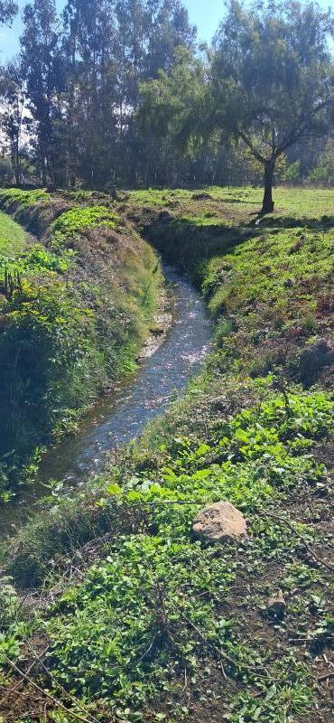 Vendo Hermosa Parcela Sector la Montaña-Teno