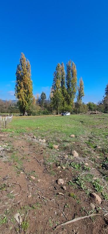 Fotografía de Vendo Hermosa Parcela Sector la Montaña-Teno
