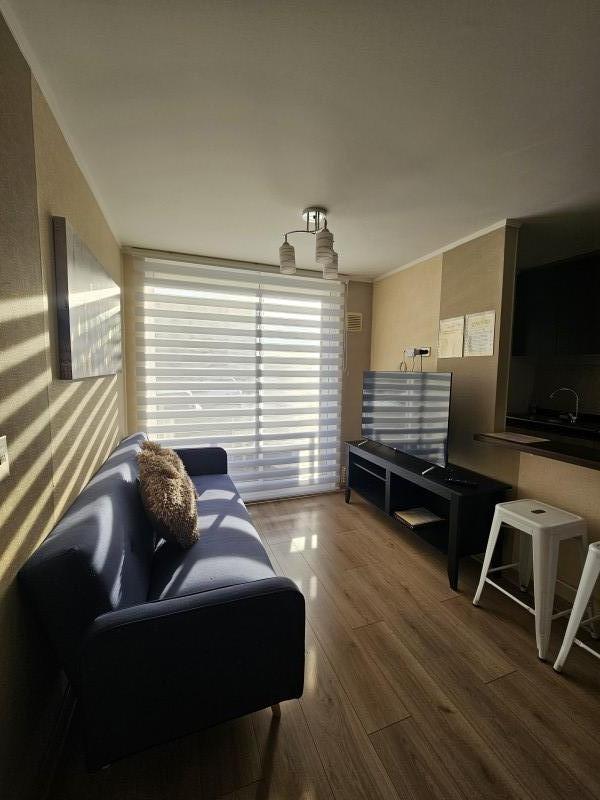 Condominio Nueva Lafquen Ii