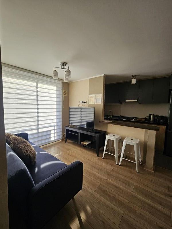 Condominio Nueva Lafquen Ii