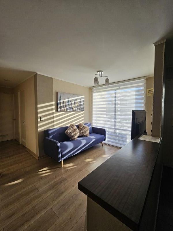 Condominio Nueva Lafquen Ii