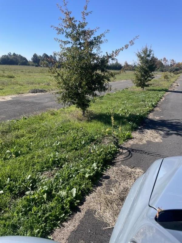 Vendo Estupendo Terreno 5.000 2 Ubicado en Condominio