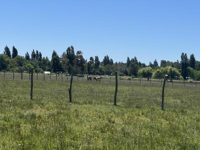 Parcelas Prados del Manzano