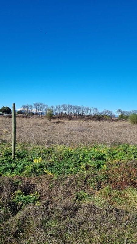 Parcela en Venta Camino A Pinto Chillan