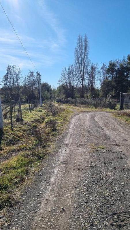 Parcela en Venta Camino A Pinto Chillan