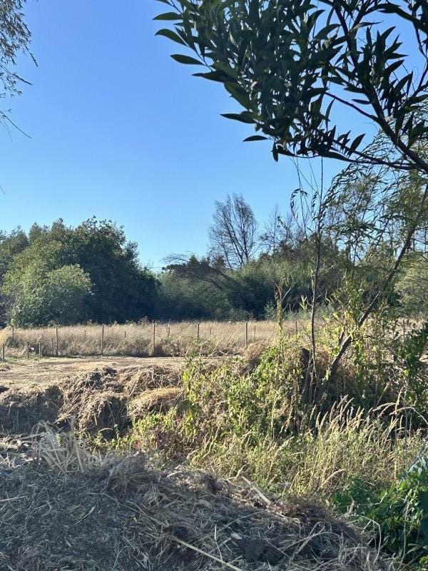 Rukahue Propiedades Vende Parcela Camino Parque Lantaño