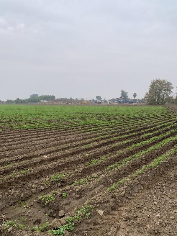 Terreno de 71.000 M2 en Lampa – Ideal para Inversionistas!