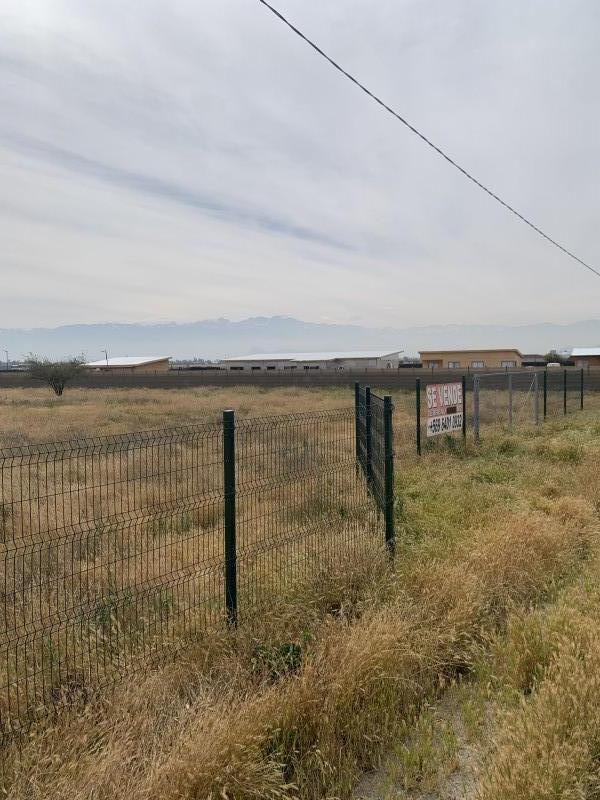 Parcela 5.000 M2 Rol Único Noviciado/crucero Peralillo Lampa
