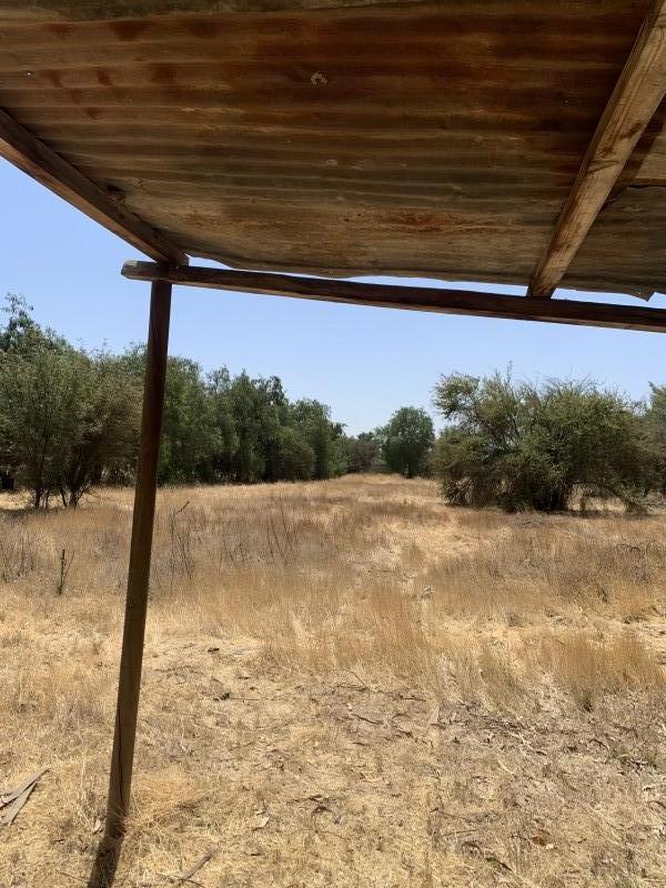 Terreno 15.000 M2 Con Luz y Agua. Lo Echevers/noviciado