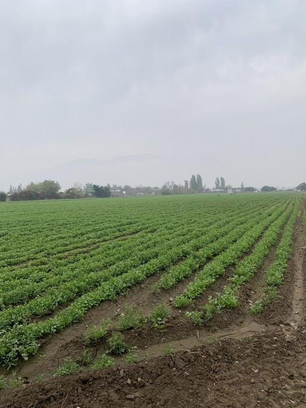 Terreno de 71.000 M2 en Lampa – Ideal para Inversionistas!