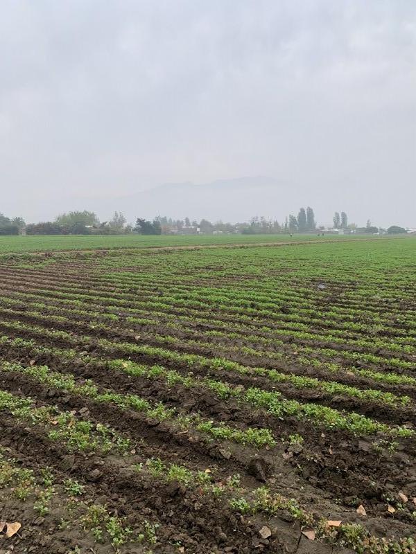 Terreno de 71.000 M2 en Lampa – Ideal para Inversionistas!