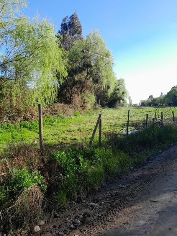 Venta de Parcela 7.4 Hectáreas $43.000.000.-C/u